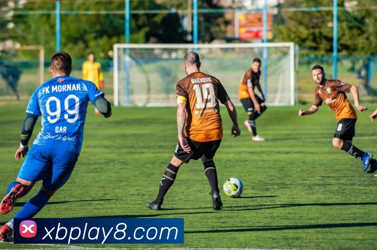 新币娱乐官网发展历程